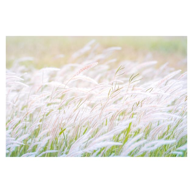 Papel de pared Soft Grasses