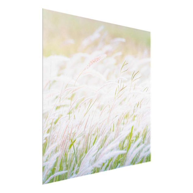 Cuadros de flores modernos Soft Grasses
