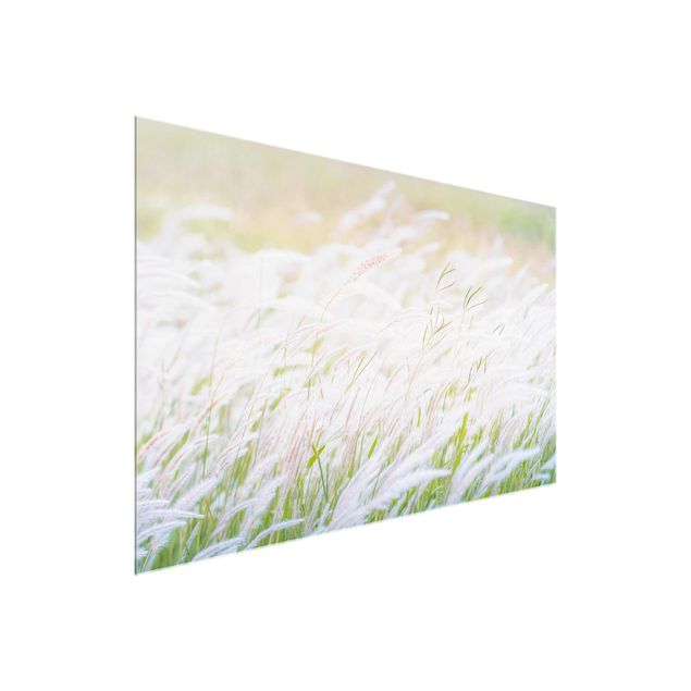 Cuadros flores Soft Grasses