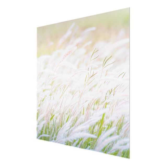 Tableros magnéticos de vidrio Soft Grasses