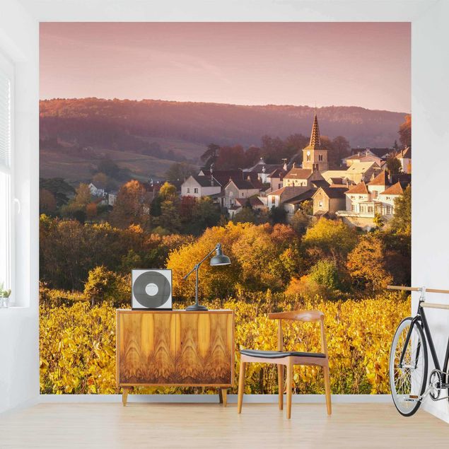 Papel pared montañas Vineyards In France