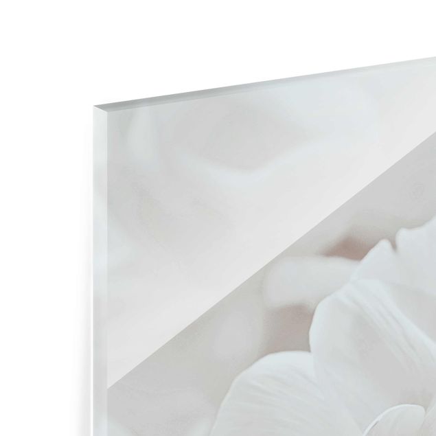 Cuadros de Monika Strigel White Flower In An Ocean Of Flowers