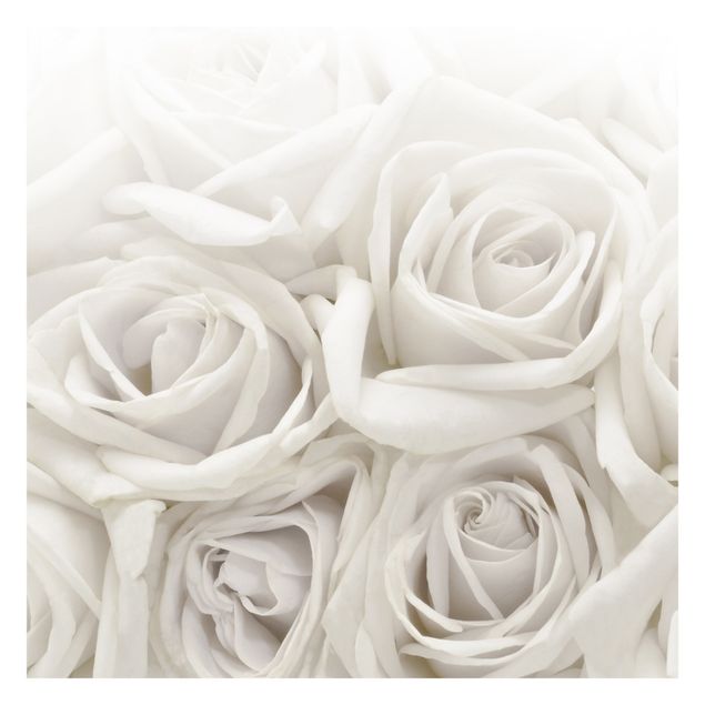 Papel de pared White Roses
