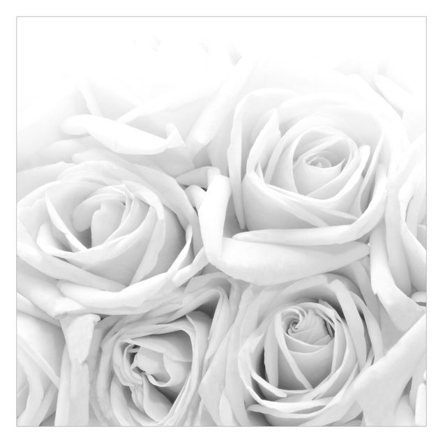 Papel de pared White Roses Black And White