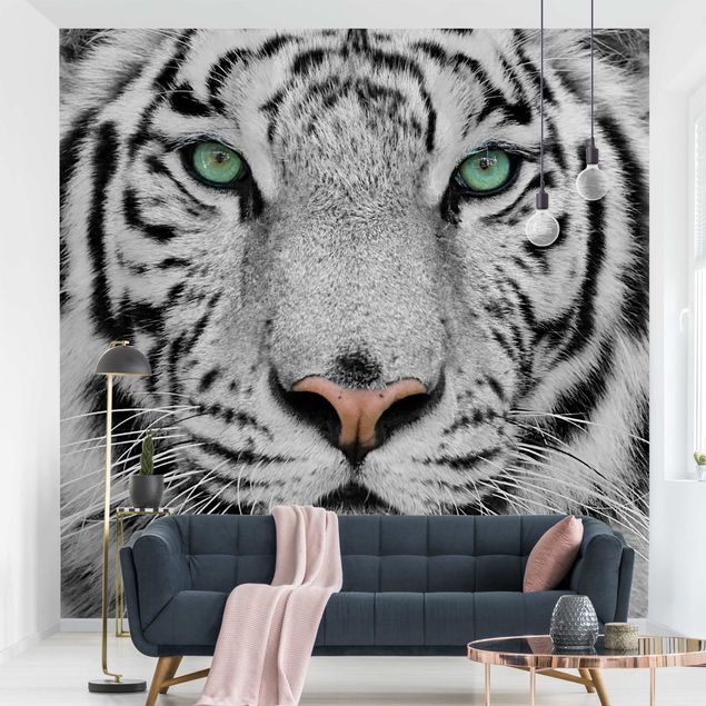 Papel pintado gatos White Tiger