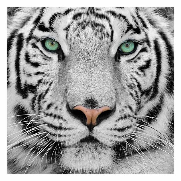 Papel pintado infantil animales White Tiger