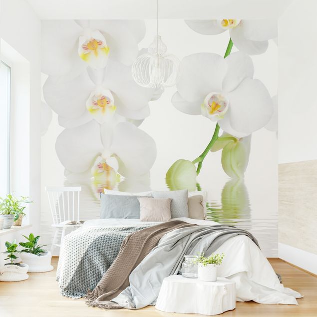 Papel pintado orquídeas Spa Orchid - White Orchid