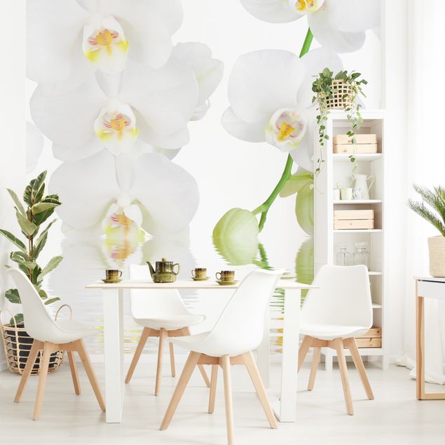Decoración en la cocina Spa Orchid - White Orchid
