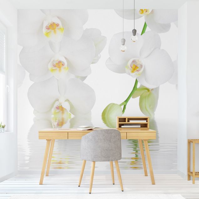 Papel pared flores Spa Orchid - White Orchid