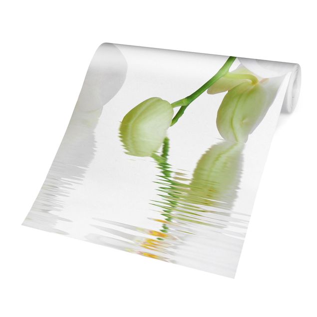 Papel de pared Spa Orchid - White Orchid