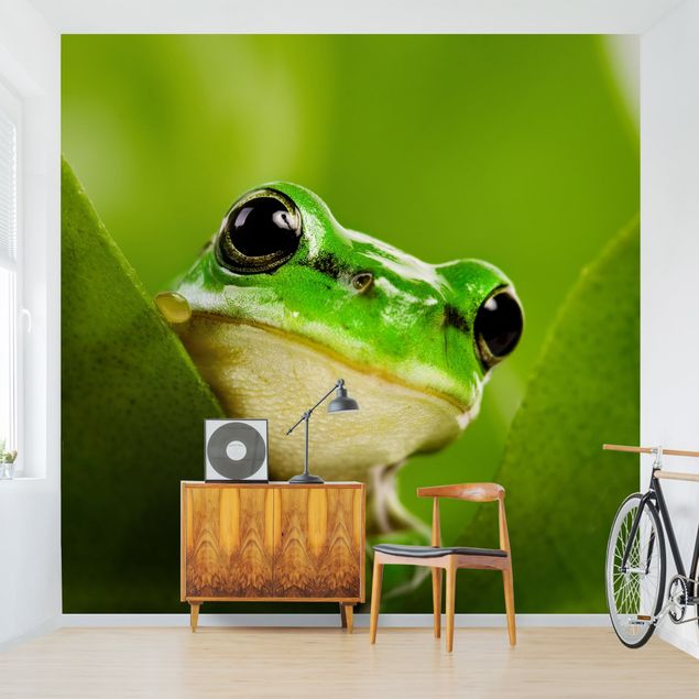 Papel pintado moderno Frog