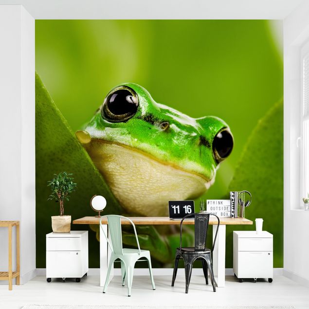 Papel pintado Frog