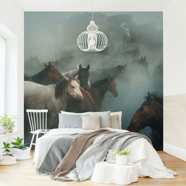 Papel pintado animales Wild Horses