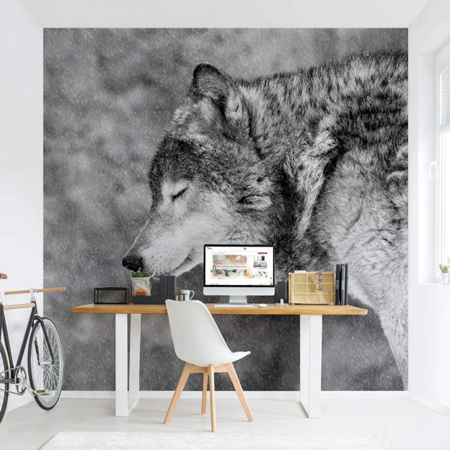 Papeles pintados modernos Winter Wolf