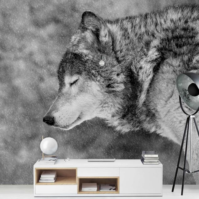 Papel pintado en blanco y negro Winter Wolf