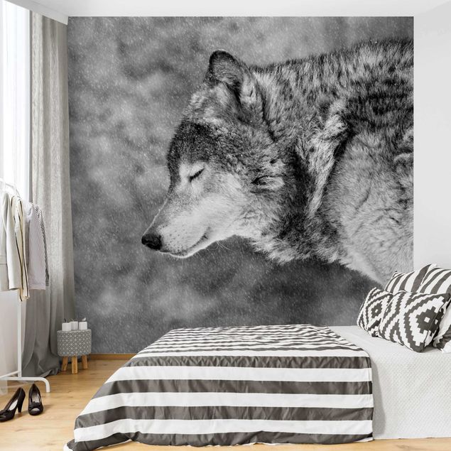 Papel pared animales Winter Wolf
