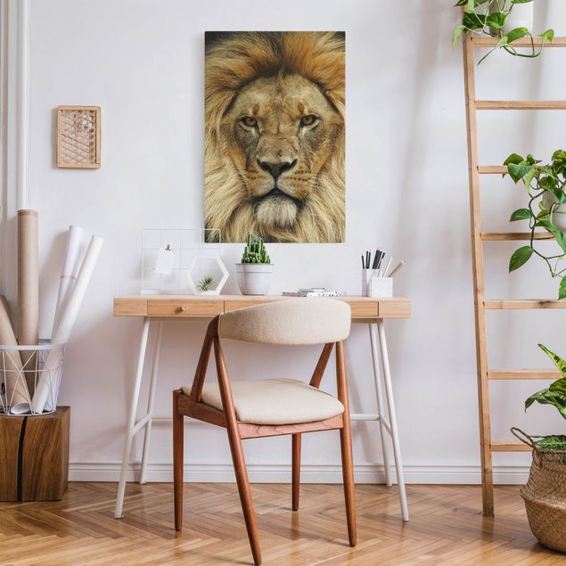 Cuadros leones Wisdom of Lion