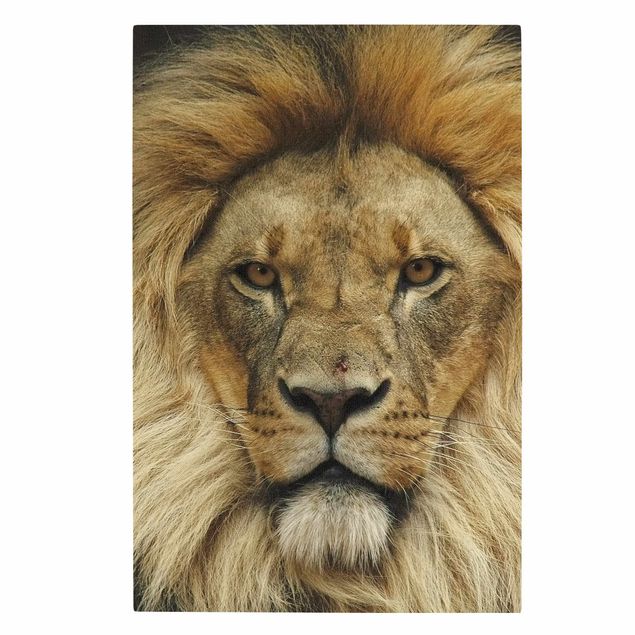 Lienzos animales Wisdom of Lion