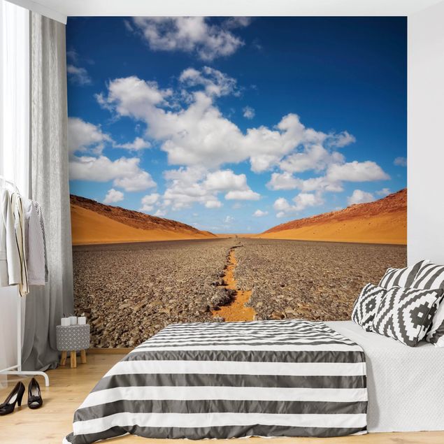Papel pintado desierto Desert Road