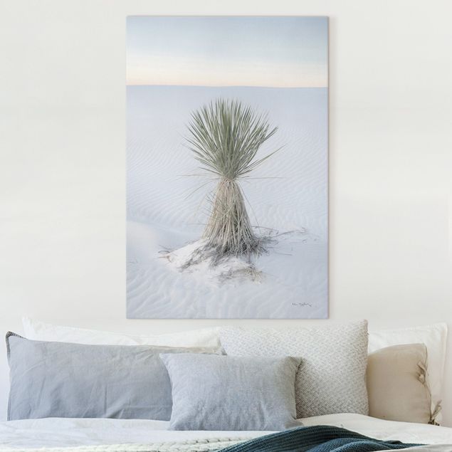 Lienzos de dunas Yucca palm in white sand