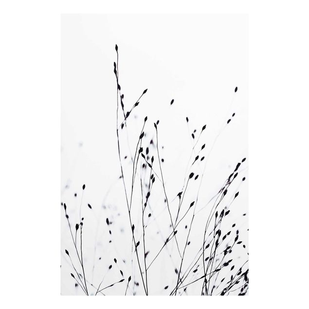Cuadros en blanco y negro Soft Grasses In Nearby Shadow