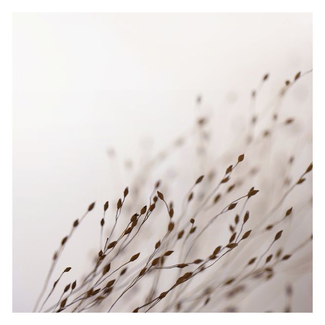 Cuadros de Monika Strigel Soft Grasses In Slipstream