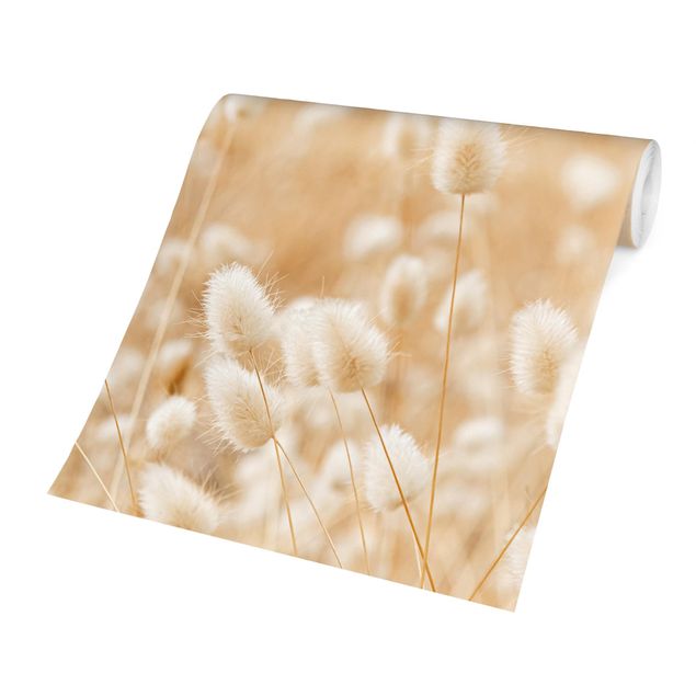 Papel pintado beige Delicate Grasses