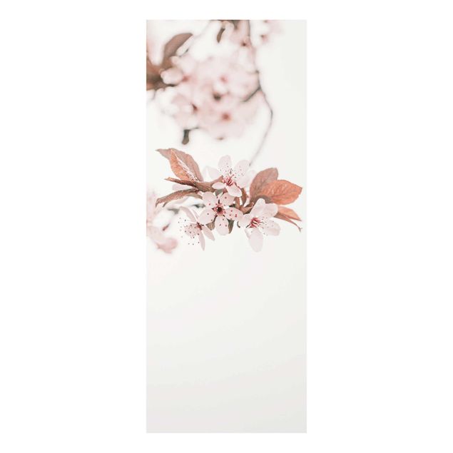 Cuadros naranjas Delicate Cherry Blossoms On A Twig