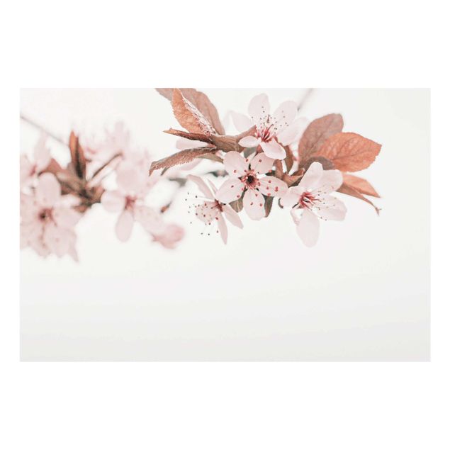 Cuadro naranja Delicate Cherry Blossoms On A Twig