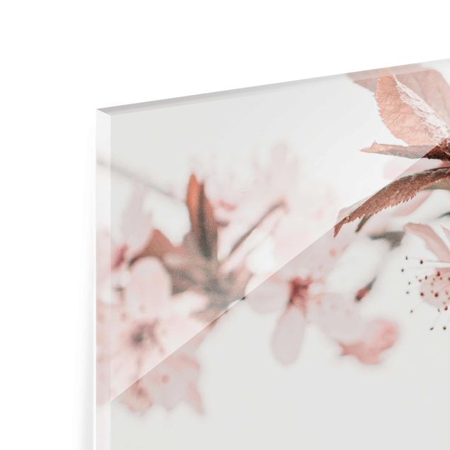 Cuadros decorativos Delicate Cherry Blossoms On A Twig