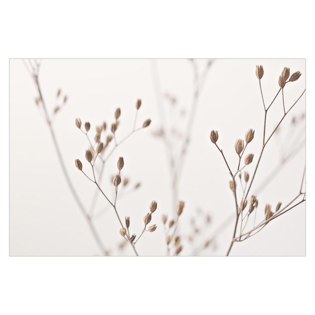 Cuadros de Monika Strigel Delicate Buds On A Wildflower Stem