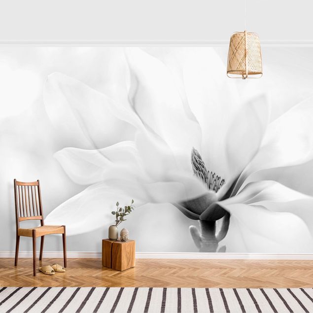 Decoración en la cocina Delicate Magnolia Flowers Black and White
