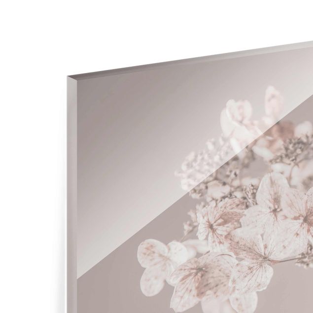 Tableros magnéticos de vidrio Delicate White Hydrangea