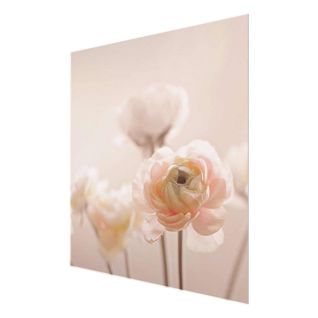 Cuadro naranja Delicate Bouquet Of Light Pink Flowers