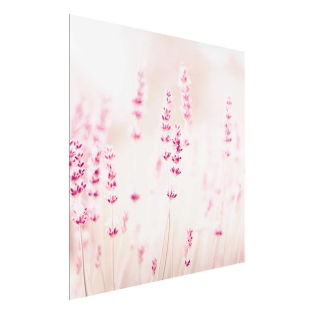 Cuadros flores Pale Pink Lavender