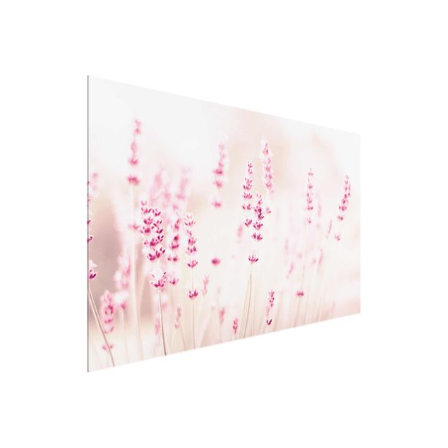 Cuadros de flores modernos Pale Pink Lavender