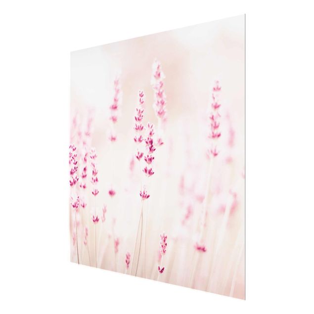 Cuadros de Monika Strigel Pale Pink Lavender