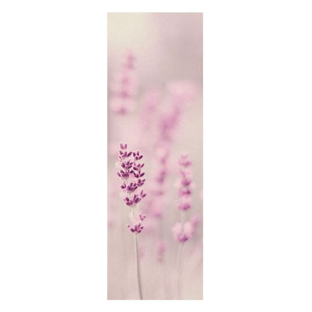 Cuadros de flores Pale Purple Lavender