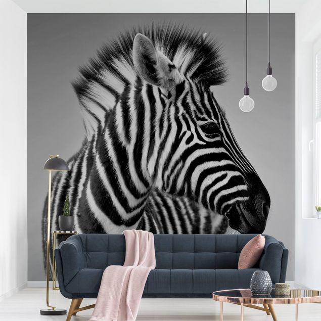 Papel pintado cebra Zebra Baby Portrait II
