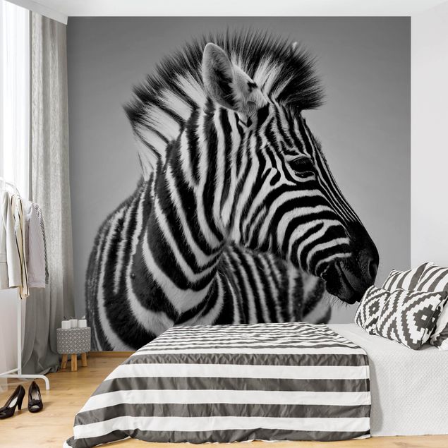 Papel pintado salón moderno Zebra Baby Portrait II