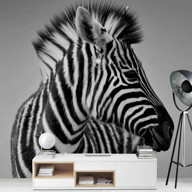 Papeles pintados blanco y negro Zebra Baby Portrait II