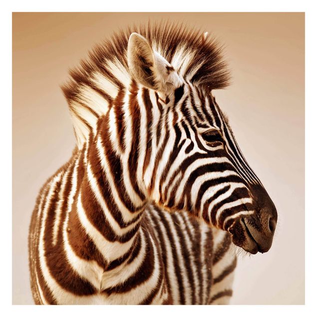 Papel de pared Zebra Baby Portrait