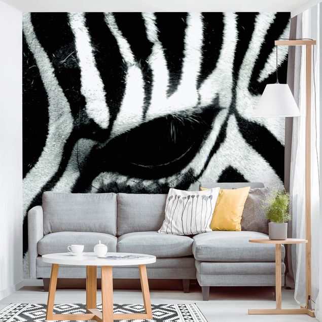 Papel pintado caballos Zebra Crossing