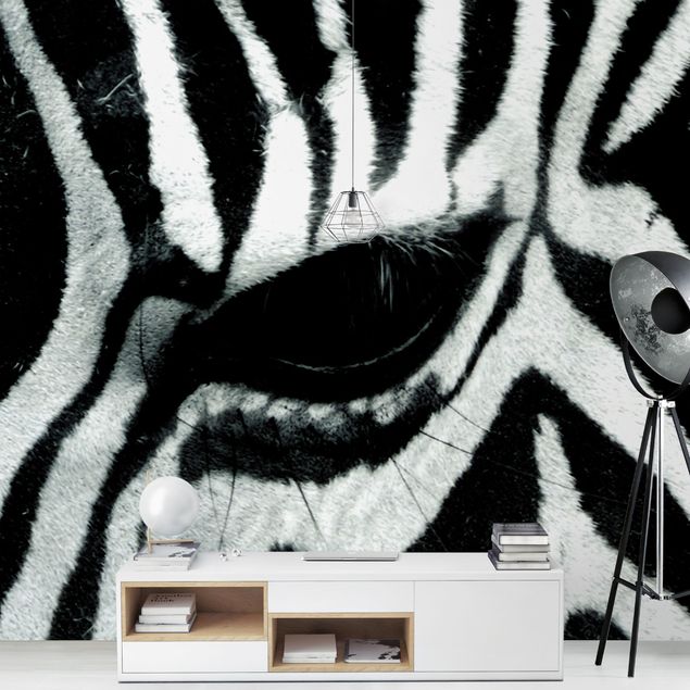 Papel pintado moderno Zebra Crossing