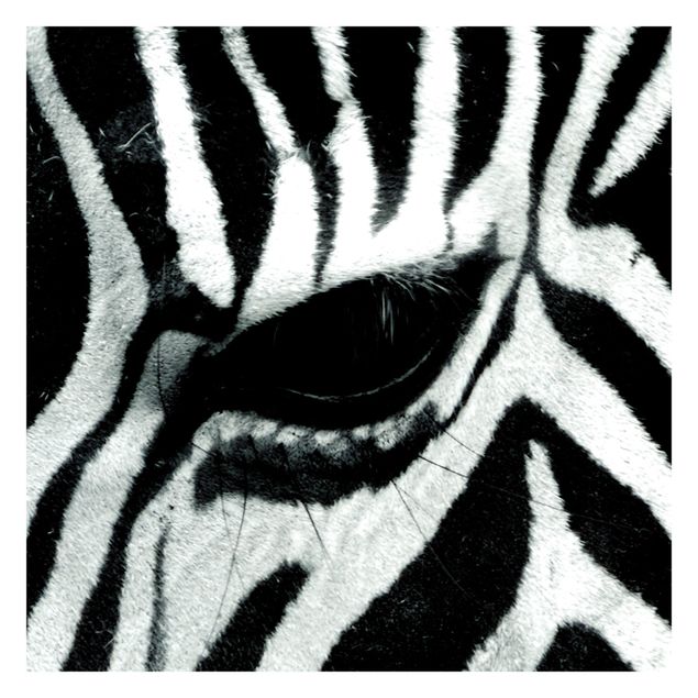 Papel pintado animales Zebra Crossing