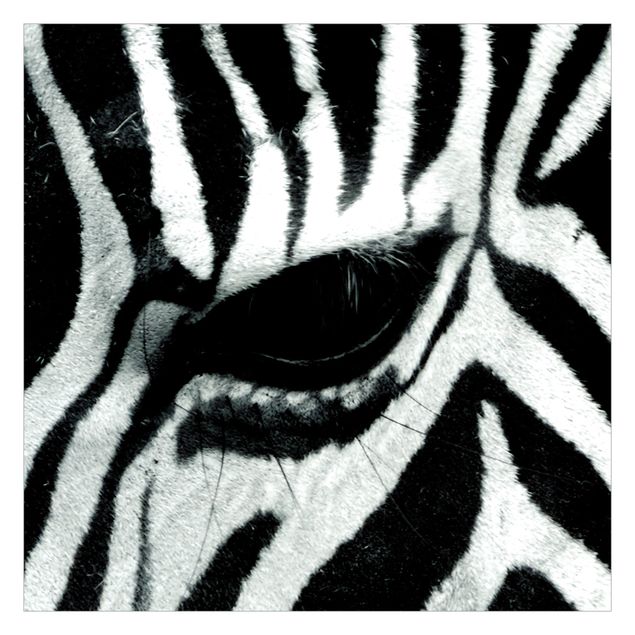 Papel pared animales Zebra Crossing