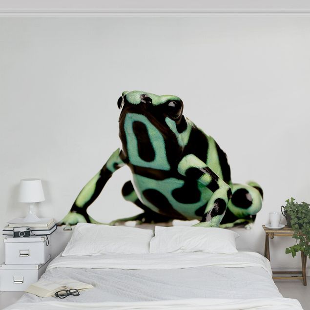 Papeles pintados modernos Zebra Frog