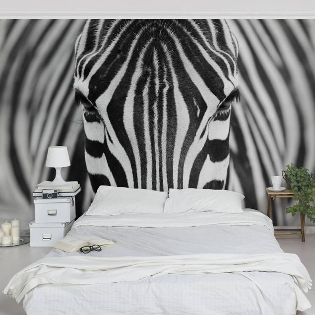 Papel pintado tigres Zebra Look