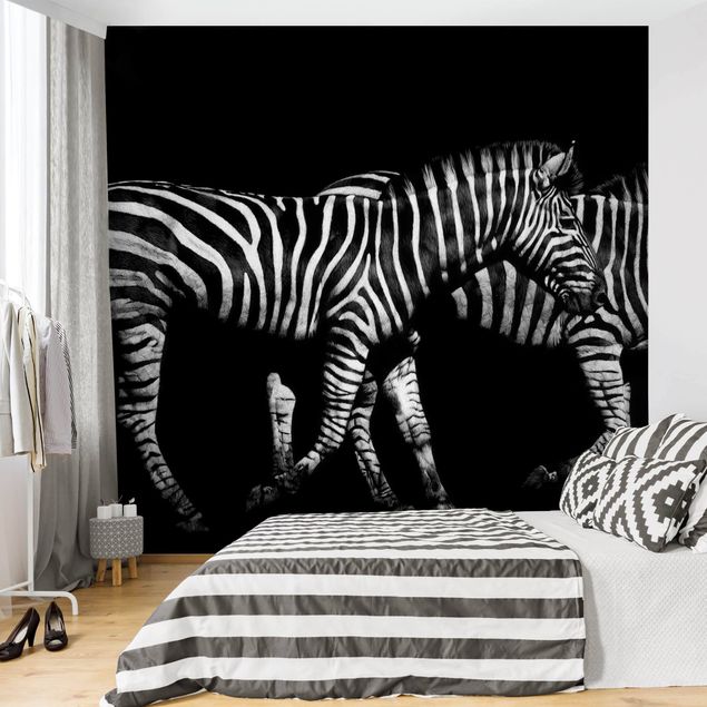 Papel pared cebra Zebra In The Dark