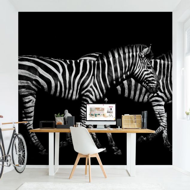 Papeles pintados modernos Zebra In The Dark